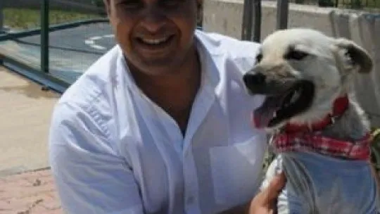 Atatürk büstü altında bulunan köpeği öğretmenler sahiplendi