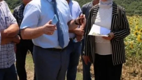 Ayçiçeği çayır tırtılı zararlısına karşı mücadele başladı