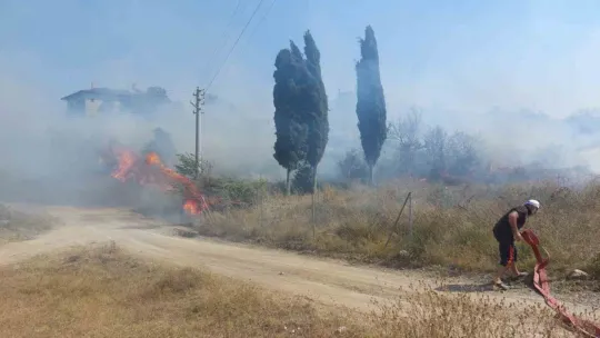 Kocaeli'de aynı saatte 3 farklı bölgede yangın çıktı