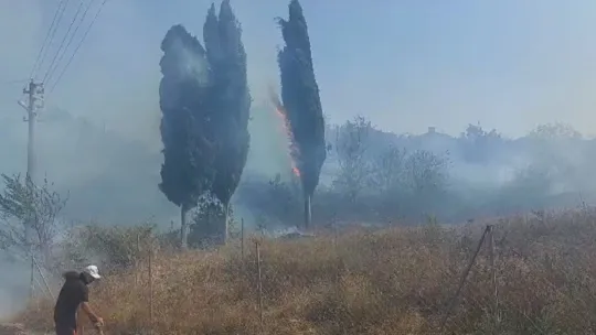Kocaeli'de aynı saatte 3 farklı bölgede yangın çıktı