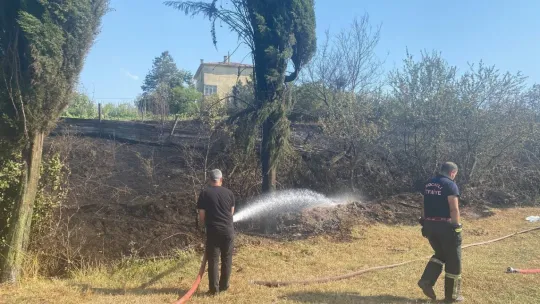 Kocaeli'de aynı saatte 3 farklı bölgede yangın çıktı