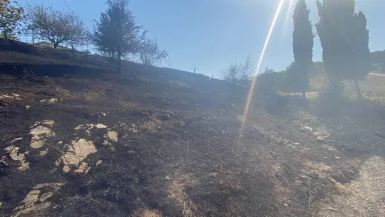 Kocaeli'de aynı saatte 3 farklı bölgede yangın çıktı
