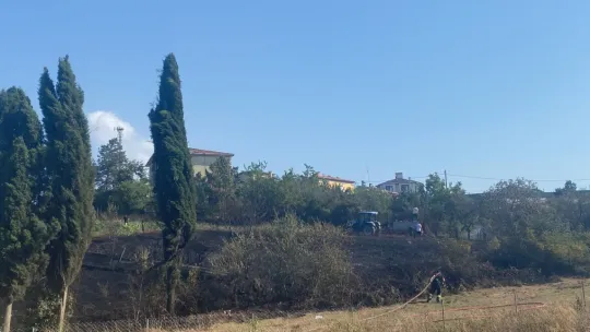 Kocaeli'de aynı saatte 3 farklı bölgede yangın çıktı