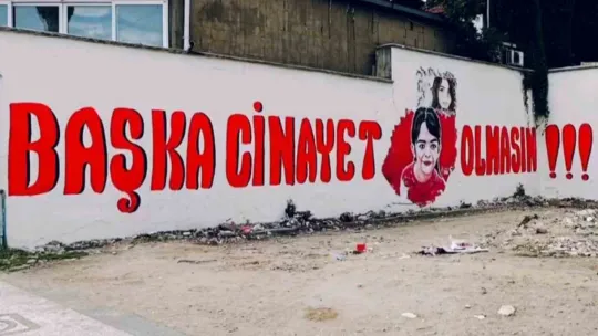 Azerbaycanlı sanatçı duvara Başka cinayet olmasın yazdı