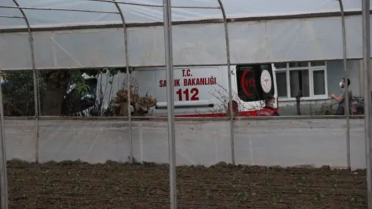Babasını öldürüp 8 kişiyi yaraladı!