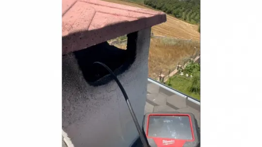 Bacadan kurtarılan baykuşlar Ormanya'ya teslim edildi
