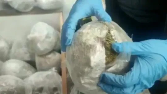 Bakan Soylu duyurdu: 4 kişi Kocaeli'de yakalandı