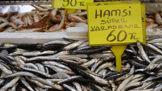 Balık fiyatları geriledi