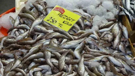 Balık tezgahlarında bolluk yok ama çeşit çok