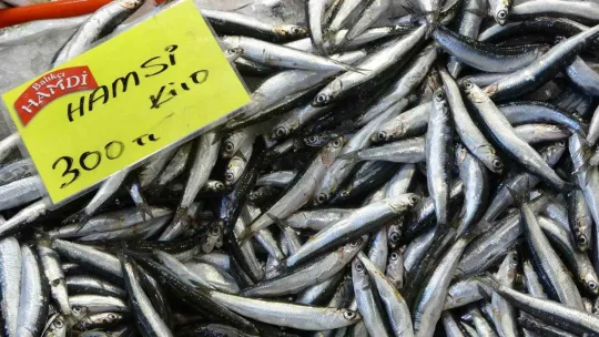 Balık tezgahlarında bolluk yok ama çeşit çok