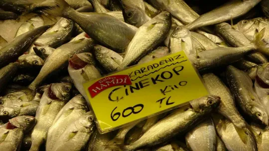 Balık tezgahlarında bolluk yok ama çeşit çok