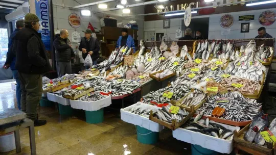 Tezgahlarda palamutun yerini çinekop alıyor