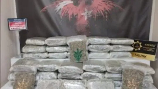 Balık yüklü araçta 53 kilo skunk esrar ele geçirildi