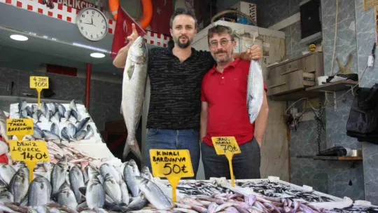 Balıkçı tezgahının bu sezonki starı 'hamsi'