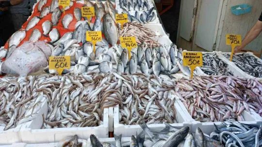 Balıkçı tezgahının bu sezonki starı 'hamsi'