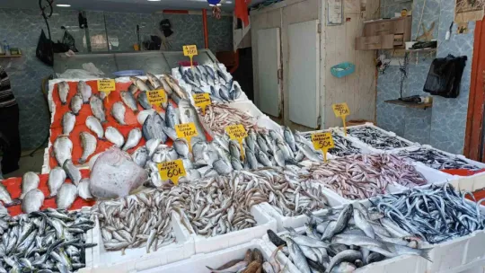 Balıkçı tezgahının bu sezonki starı 'hamsi'