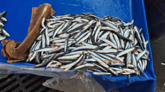 Balıkçıdan yılbaşı mesajı: Hindi değil balıkla kutlayın