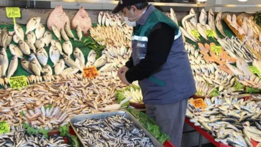 Balıkçılar hamsinin neslinin tükenmemesi için çağrıda bulundu!