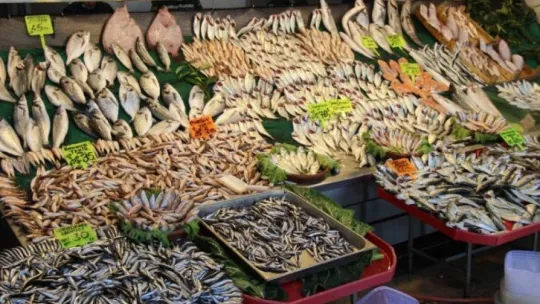 Balıkçılar hamsinin neslinin tükenmemesi için çağrıda bulundu!