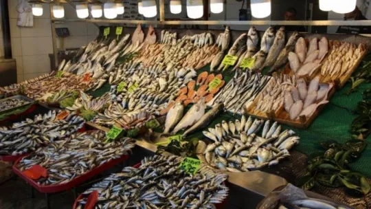 Balıkçılar hamsinin neslinin tükenmemesi için çağrıda bulundu!