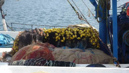 Balıkçılar umduğunu bulamadı