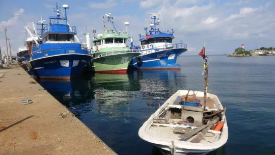 Balıkçılar umduğunu bulamadı