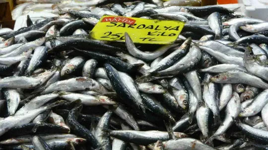 Balıkçılardan müjde
