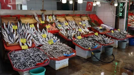 Balıkçılardan uyarı: Varken yiyelim