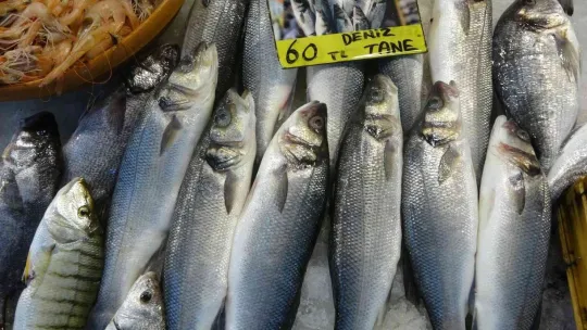 Balıkta bolluk yok, çeşitlilik çok