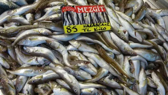 Balıkta bolluk yok, çeşitlilik çok