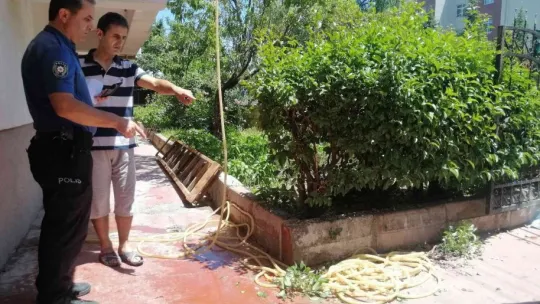 Balkon panjurlarını yıkarken hastanelik oldu
