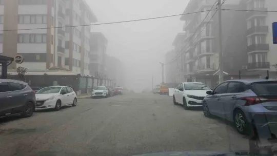 Marmara'da deniz ve kara taşımacılığında sis engeli