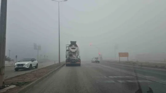Marmara'da deniz ve kara taşımacılığında sis engeli