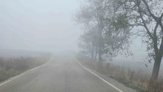 Marmara'da deniz ve kara taşımacılığında sis engeli