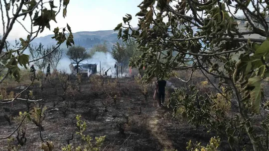 Barakada başlayan yangın ağaçlık alana yayıldı