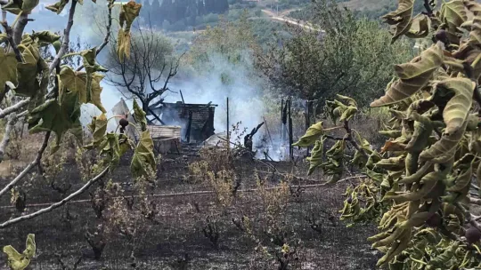 Barakada başlayan yangın ağaçlık alana yayıldı