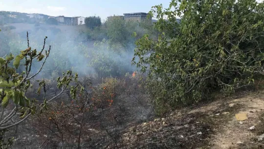 Barakada başlayan yangın ağaçlık alana yayıldı