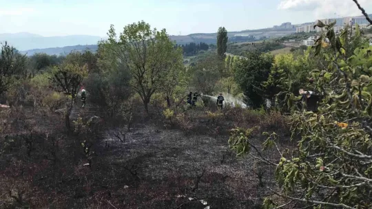 Barakada başlayan yangın ağaçlık alana yayıldı