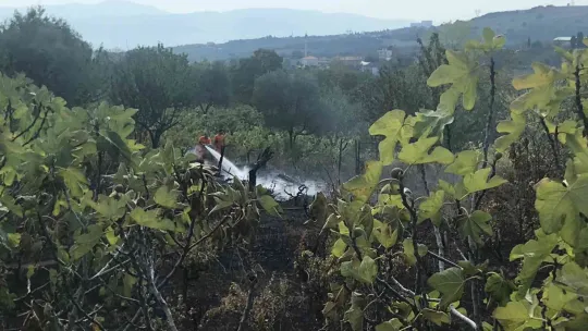 Barakada başlayan yangın ağaçlık alana yayıldı
