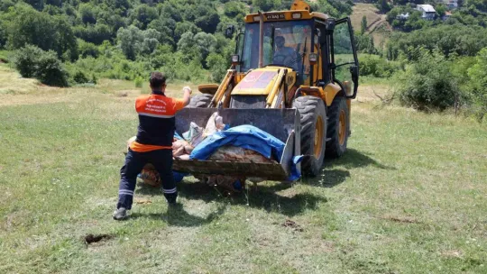 Başiskele'de kurban atıkları toplanıyor