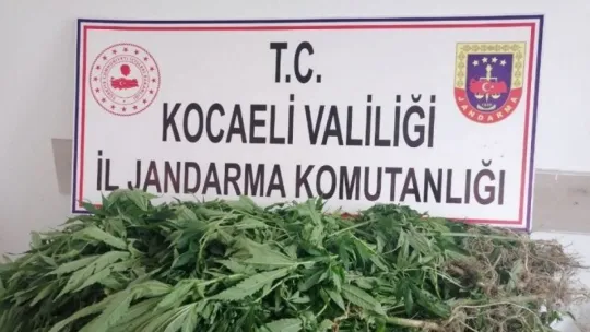 Başiskele'de uyuşturucu operasyonu!