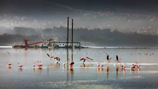 Marmara Denizi'ne her gün 4.5 milyon metreküp kanalizasyon atığı bırakılıyor