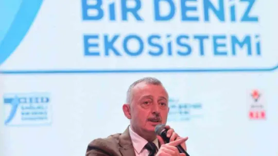 Marmara Denizi'ne her gün 4.5 milyon metreküp kanalizasyon atığı bırakılıyor