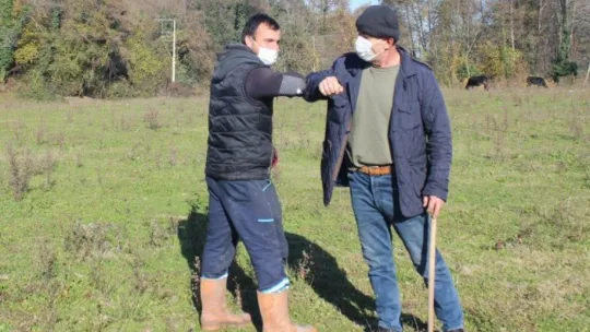Başkasının ahırında yaşayan tosun sahibine teslim edildi