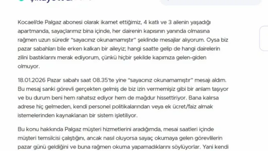 Kocaeli'de pes dedirten olay