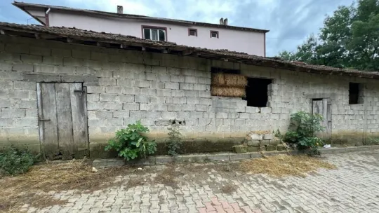 Abisini öldürmüştü, 24 yıl hapse çarptırıldı