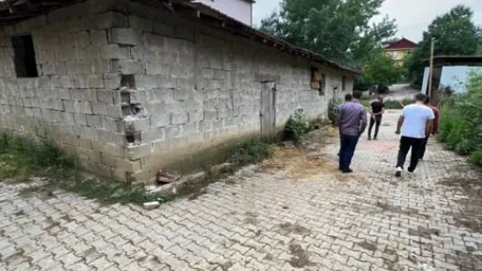 Abisini öldürmüştü, 24 yıl hapse çarptırıldı