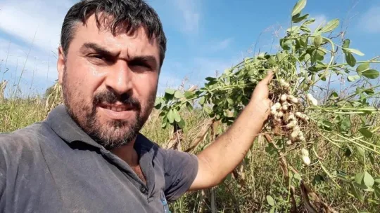 Bayram günü ağabeyini öldürme sebebi ortaya çıktı