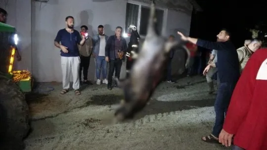 Bayram öncesi 'İnsanlık ölmedi' dedirttiler