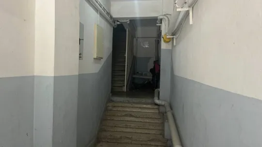 Bebek arabasıyla gezinirken beğendiği başka arabayı kucağında bebeğiyle çaldı